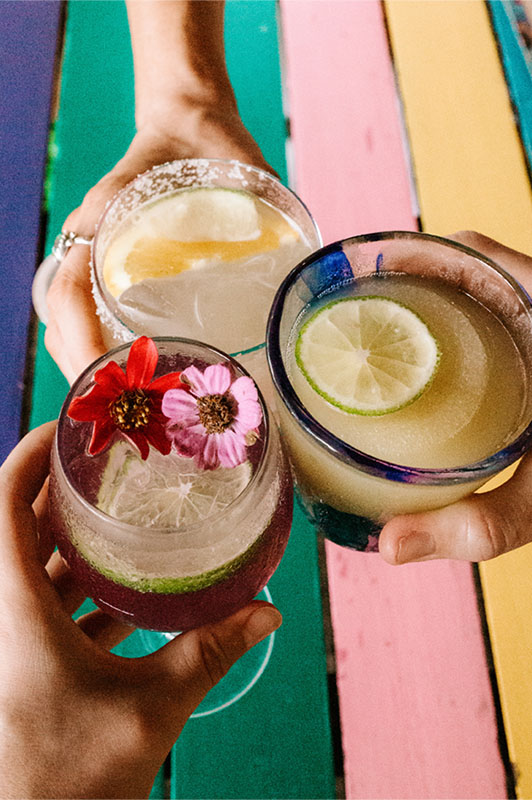 People toast with tropical-style drinks.