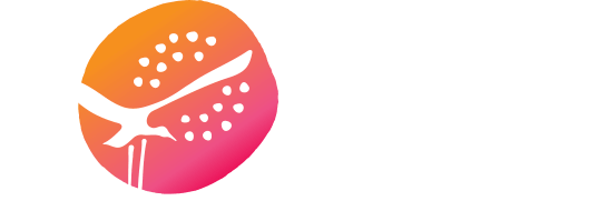 Northern Territory logo